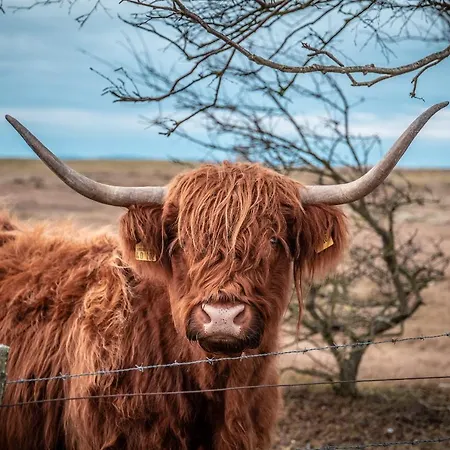 Strandhotel An Der Ostsee 4* Weissenhauser Strand