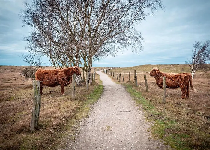 Strandhotel An Der Ostsee Hotel