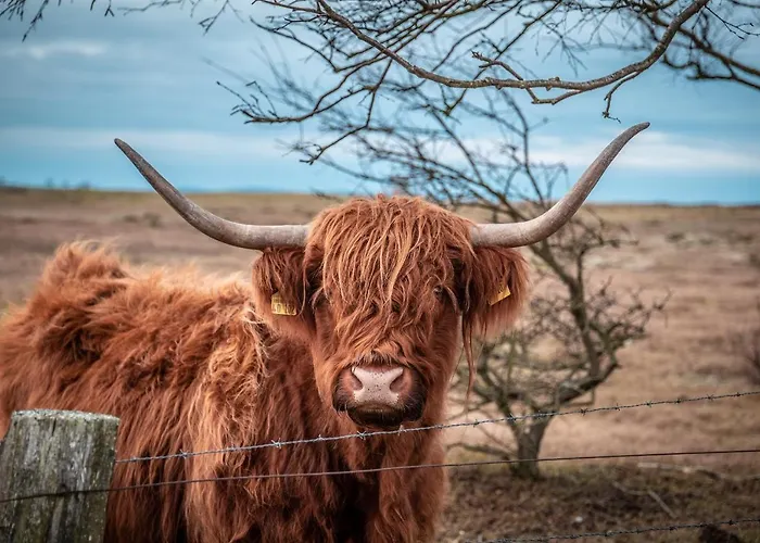 Strandhotel An Der Ostsee 4* Weissenhäuser Strand
